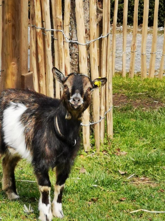 Heeser Hof - Urlaub Im Gruenen Weeze Luaran gambar