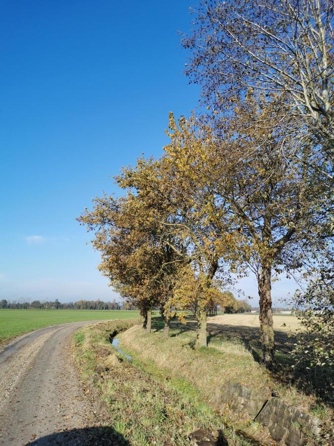 Heeser Hof - Urlaub Im Gruenen Weeze Luaran gambar